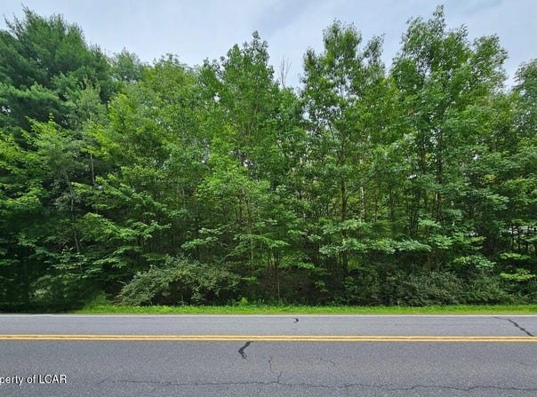 State Route 118, Lehman, PA 18612