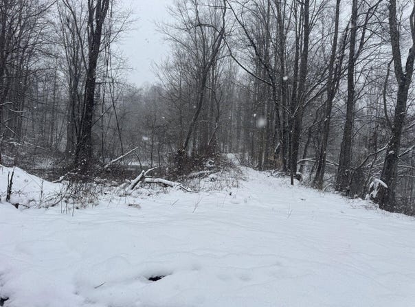 435 Old Long Branch Rd, Pax, WV 25904