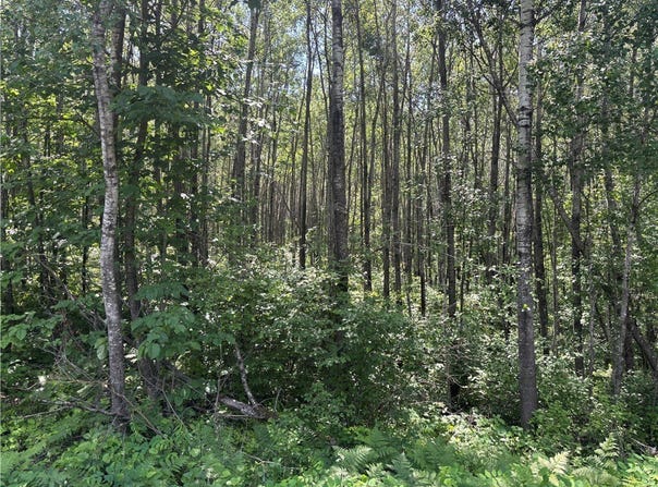 Lot 1 W Nelson Lake Road, Hayward, WI 54843