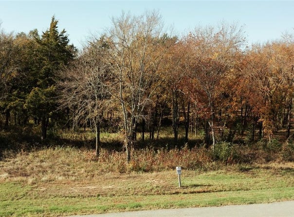 307 Cedar Creek Landing Lane, Mabank, TX 75143