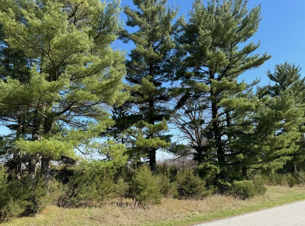 Lot 2 N 200 W, Rensselaer, IN 47978