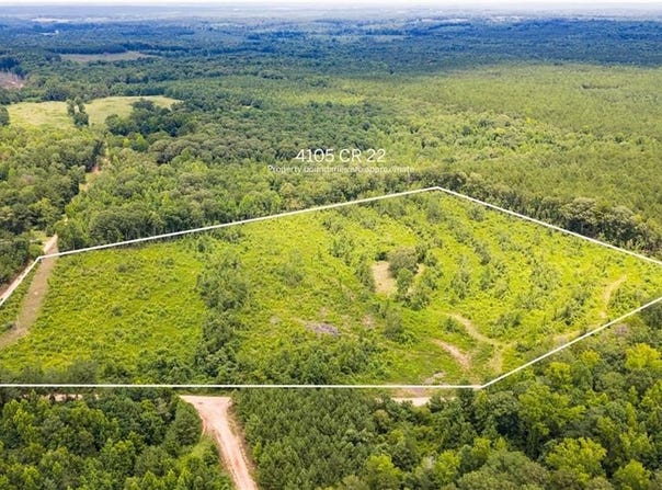 4105 COUNTY ROAD 22, WAVERLY, AL 36879