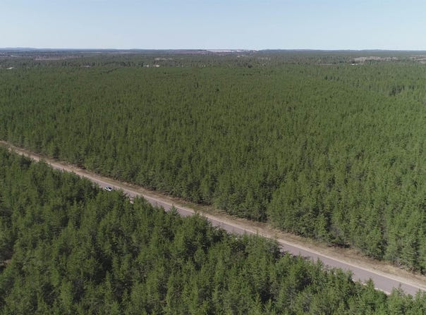 Parcel 4 Rice Lake, Gwinn, MI 49841