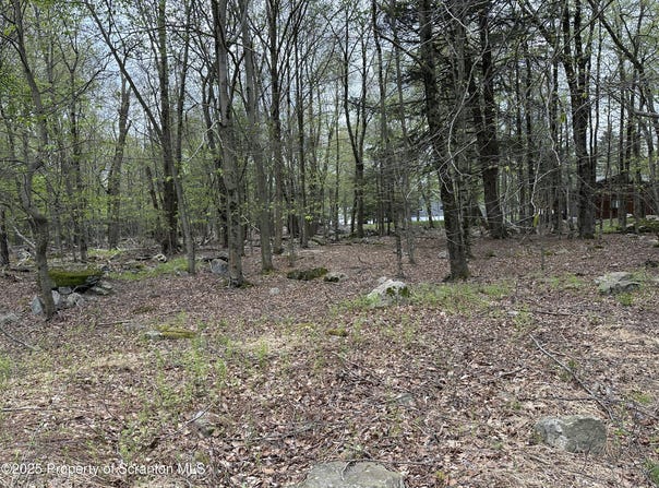 Pocono Drive E, Gouldsboro, PA 18424