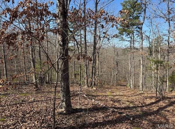 1003 Hidden Valley Lakes, Annapolis, MO 63620