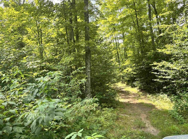 17290 County Road 468, Newberry, MI 49868