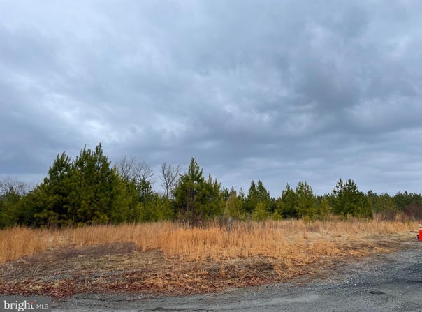 U.S RT 1, RUTHER GLEN, VA 22546