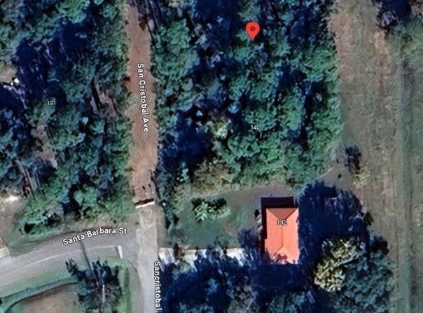136 SAN CRISTOBAL Avenue, East Palatka, FL 32131