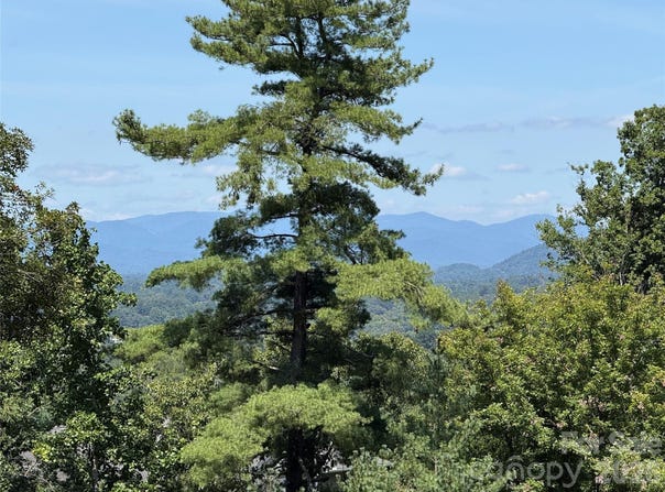 44 Leisure Mountain Road, Asheville, NC 28804