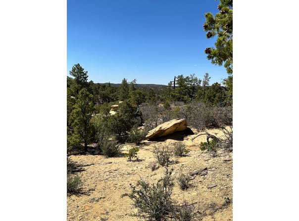 XX N Ranchero Rd, Pie Town, NM 87827