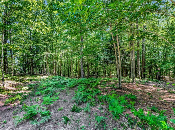 Lot 1 Emerald Ridge, Onekama, MI 49675