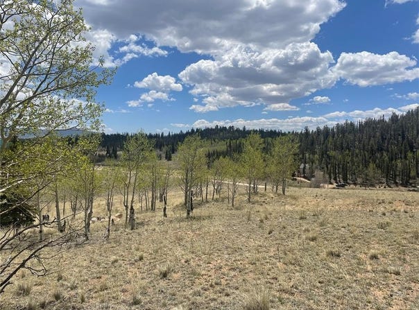 636 SHARPS WAY, Como, CO 80432