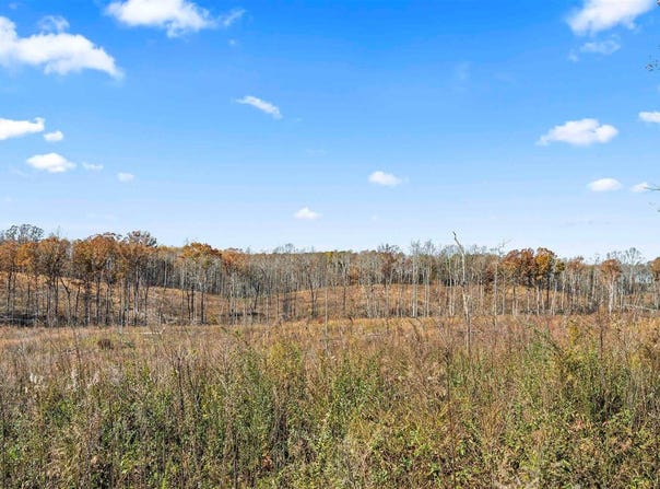 00 Co Rd 1067, Vinemont, AL 35179