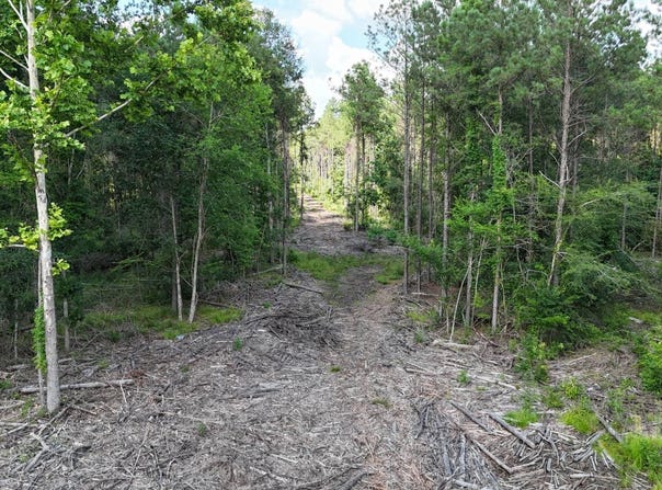 TBD Old Military Rd., Winnfield, LA 71483