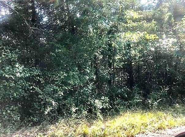 Enid Drive, Cherokee Village, AR 72529