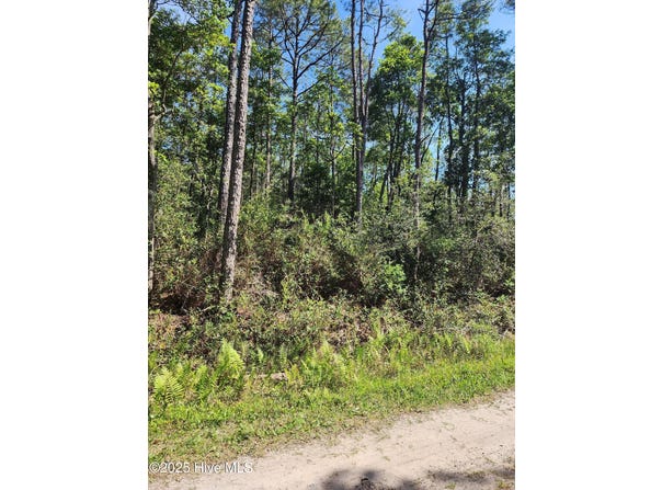 Lot 60 Drake Road, Boiling Spring Lakes, NC 28461