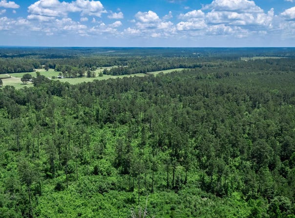Mathews Road, Donaldson, AR 71941