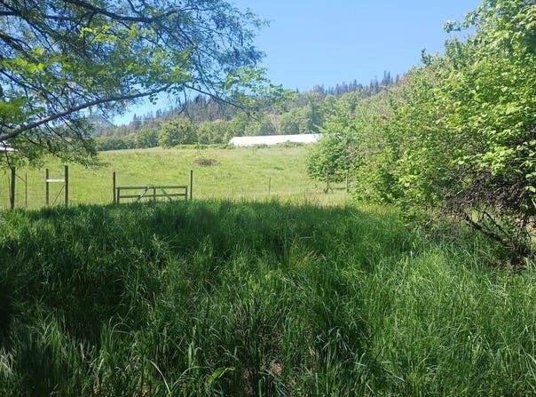 14855 E Evan's Creek Road Road, Rogue River, OR 97537