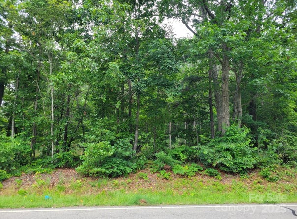 0 Dairy Road, Troy, NC 27371