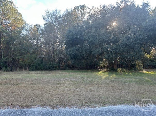 Dean Drive, Guyton, GA 31312