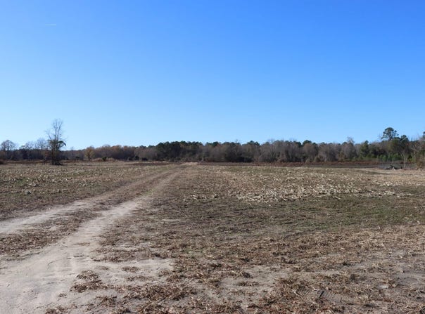 Highway 3, Blackville, SC 29817