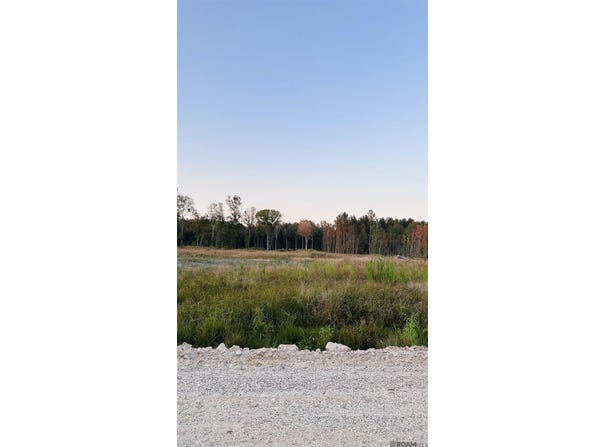 16457 Peacock Drive, Walker, LA 70785