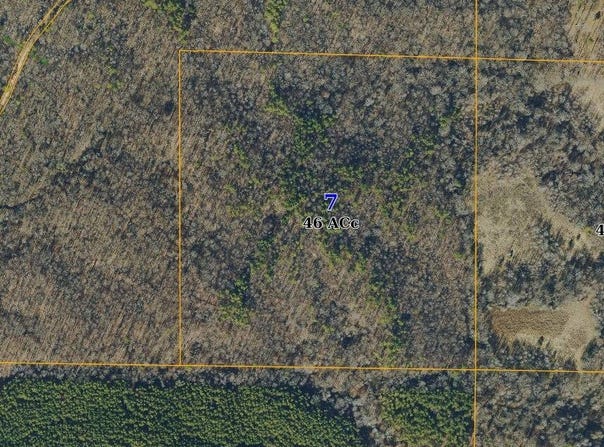 46 Acres Hwy 8, Holcomb, MS 38940
