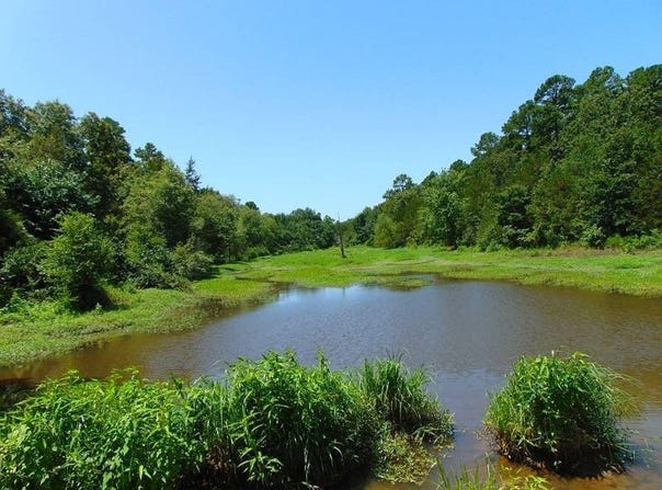 tbd Peach Creek Road, Fanshawe, OK 74935