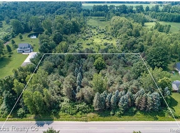 9361 Birch Run Rd, Arbela Twp, MI 48746