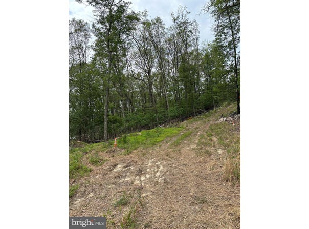 Lot 17 ROBERT'S LANE, GREAT CACAPON, WV 25422
