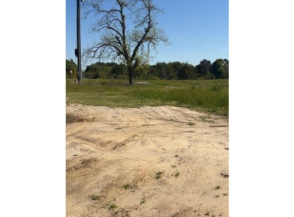 0 Georgia  HWY 257, Pineview, GA 31071