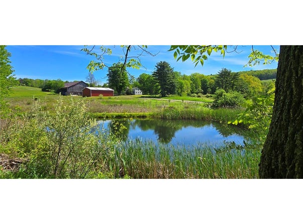 324 Murphy Hill Road, Horseheads, NY 14845
