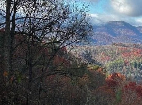 Tbd Upper Peachtree Road, Murphy, NC 28906