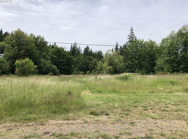 Cougar ST, Vernonia, OR 97064