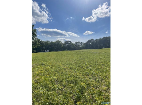 1779 County Road 822, Collinsville, AL 35961