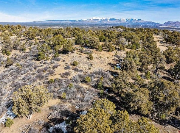 Road 35.3, Mancos, CO 81328