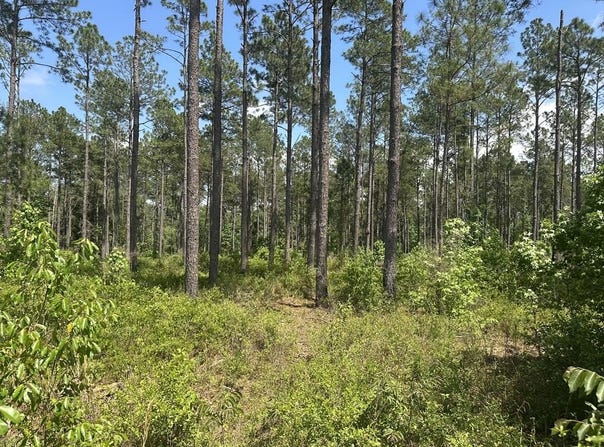 Rupp Road, Ochlocknee, GA 31773