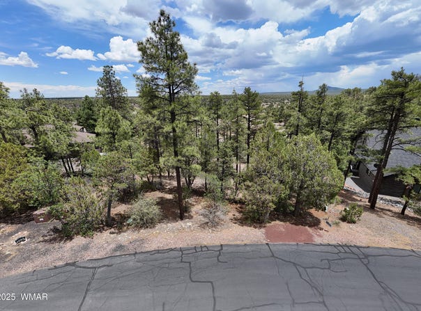 1280 Pine Oaks Drive, Show Low, AZ 85901