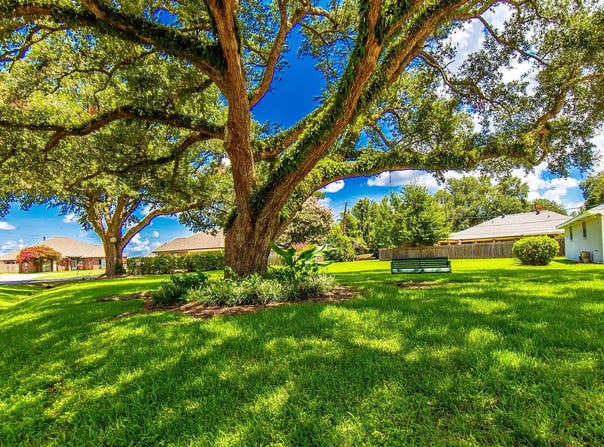 Tbd Windsor Dr, Thibodaux, LA 70301