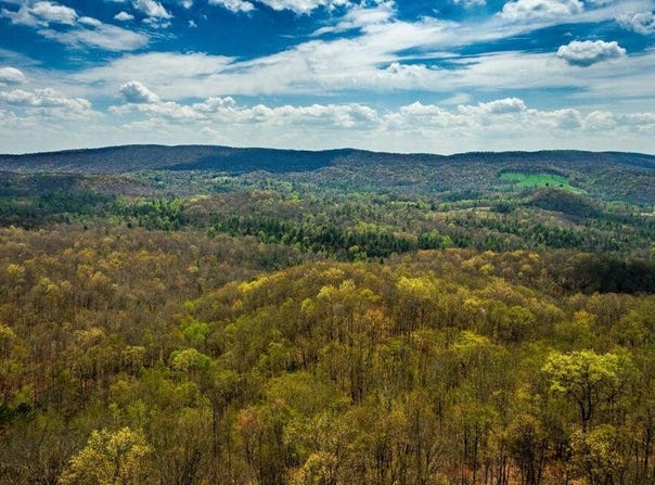Lot #19 - Green Ridge Trails Tr, Harriman, TN 37748