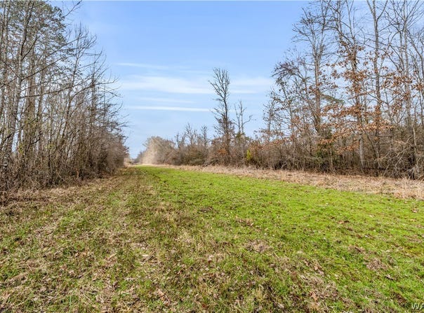 County rd 12, Carrollton, AL 35447