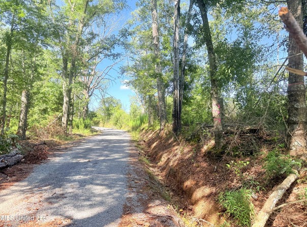 R T Womack Road, Mendenhall, MS 39114
