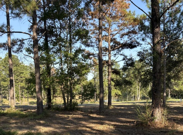 Shellcracker lot: 11, Lucedale, MS 39452