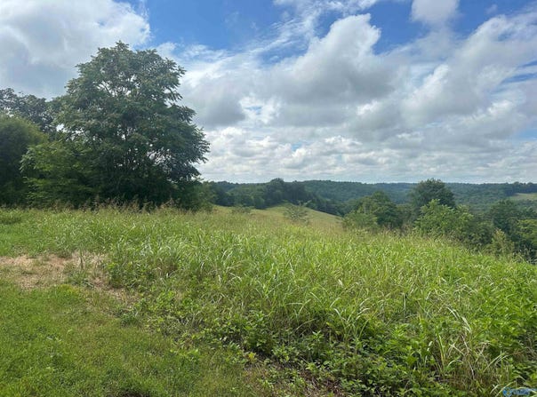 5a Simmons Road, Belvidere, TN 37306