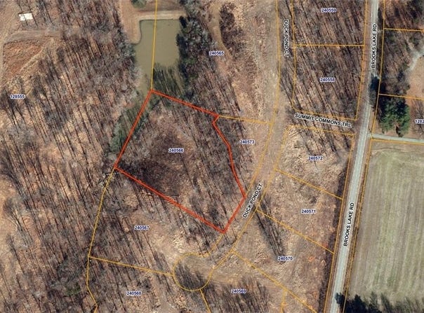 7919 Duck Pond Court, Browns Summit, NC 27214