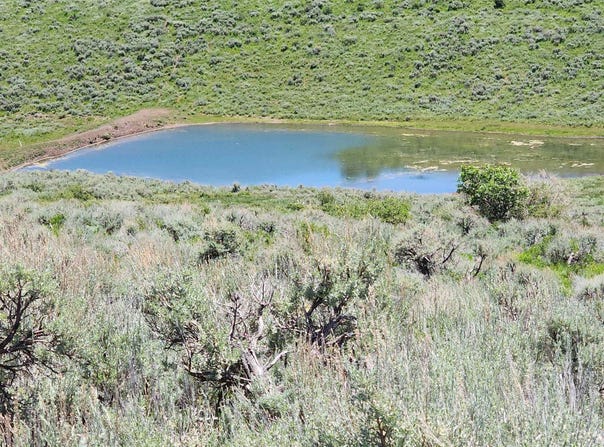 Tbd Divide Road, Gateway, CO 81522