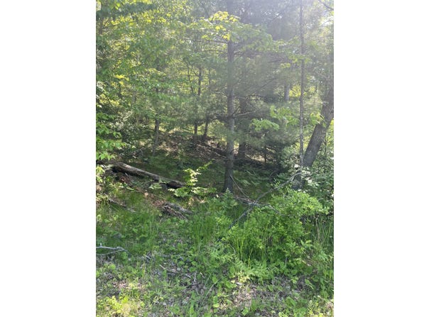 LAKE JOHN Road, LAKEWOOD, WI 54138