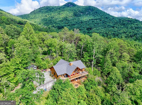 331 Black Bear Den, Clayton, GA 30525