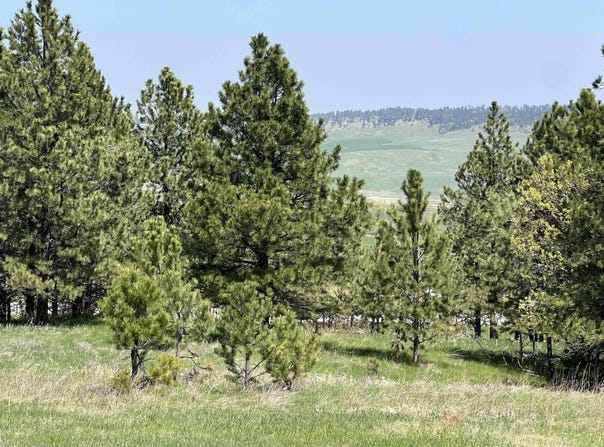 Lot 13 Oak Drive, Whitewood, SD 57793