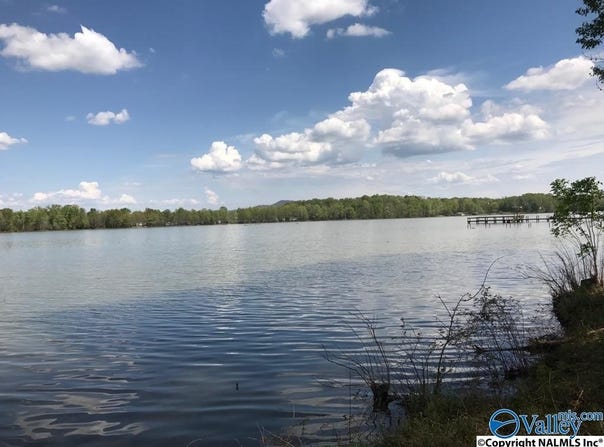 115 County Road 714, Cedar Bluff, AL 35959